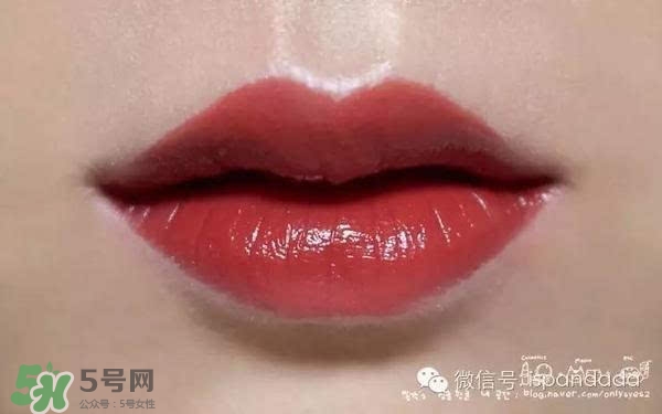 ������ں�ʲô���Ӻã�������ں��Ƽ�